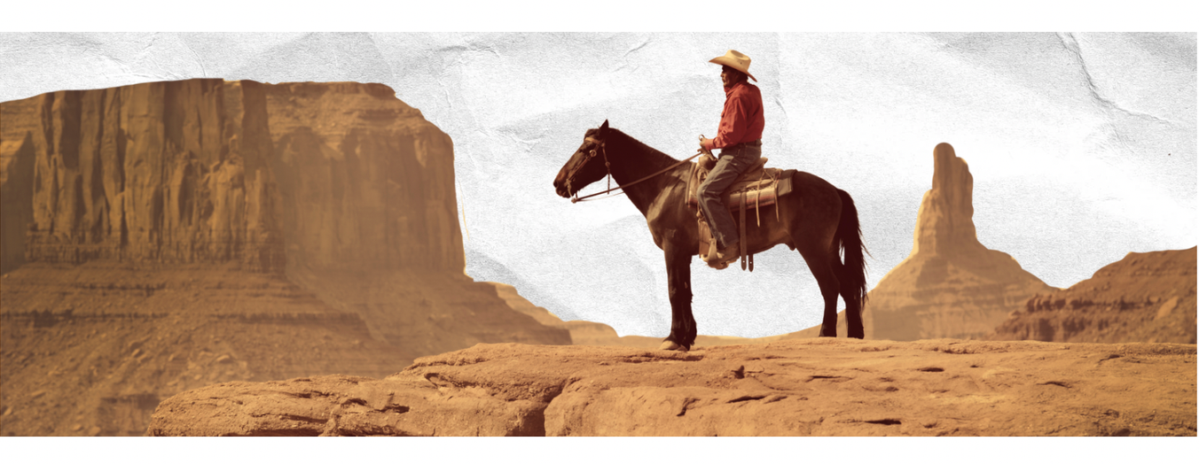 Cowboy on the frontier